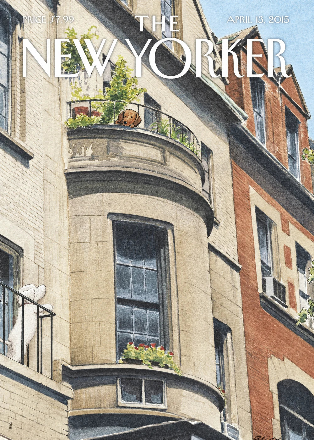 New Yorker No. 4