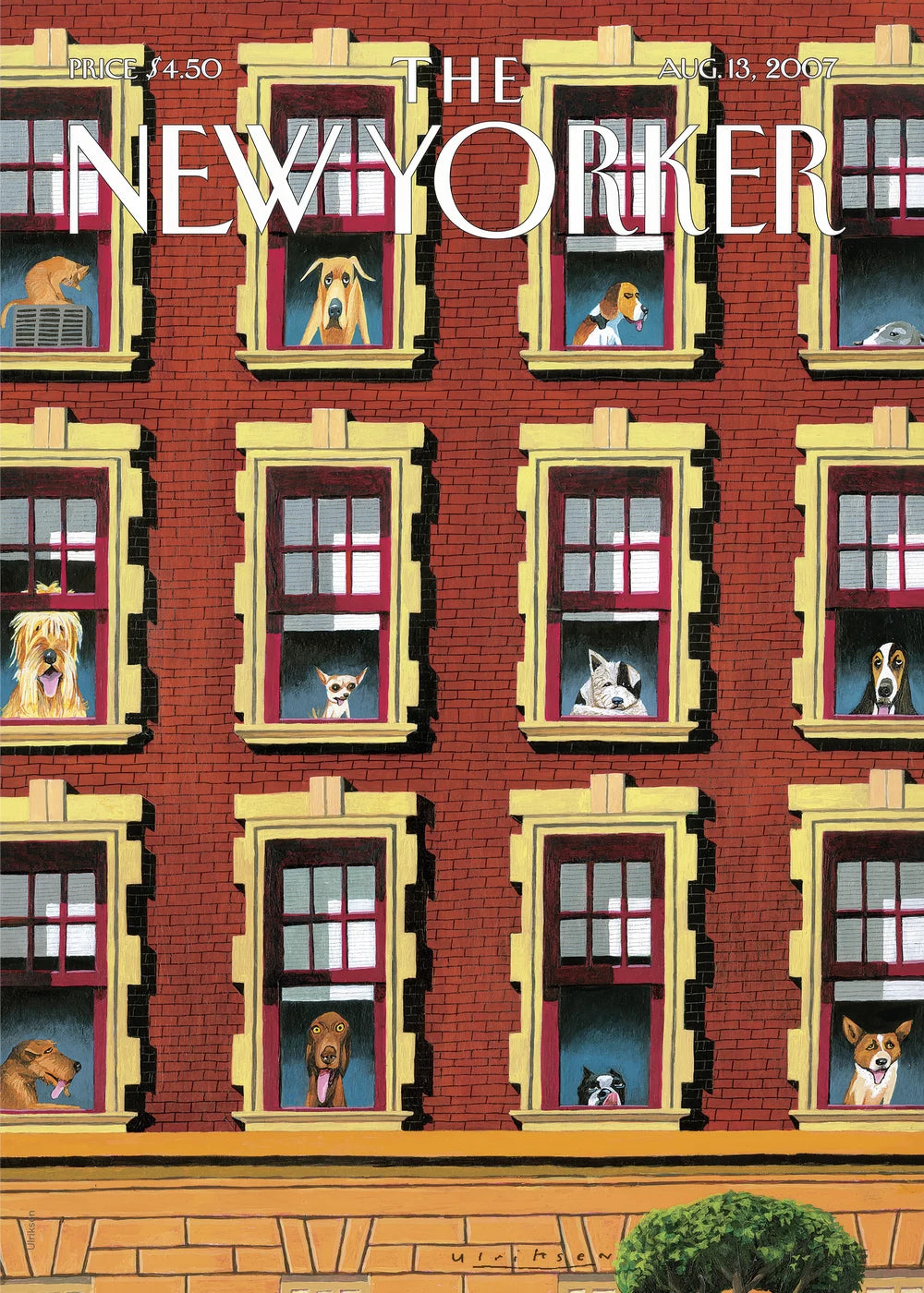 New Yorker No. 18
