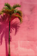 Pop Art Poster No. 81