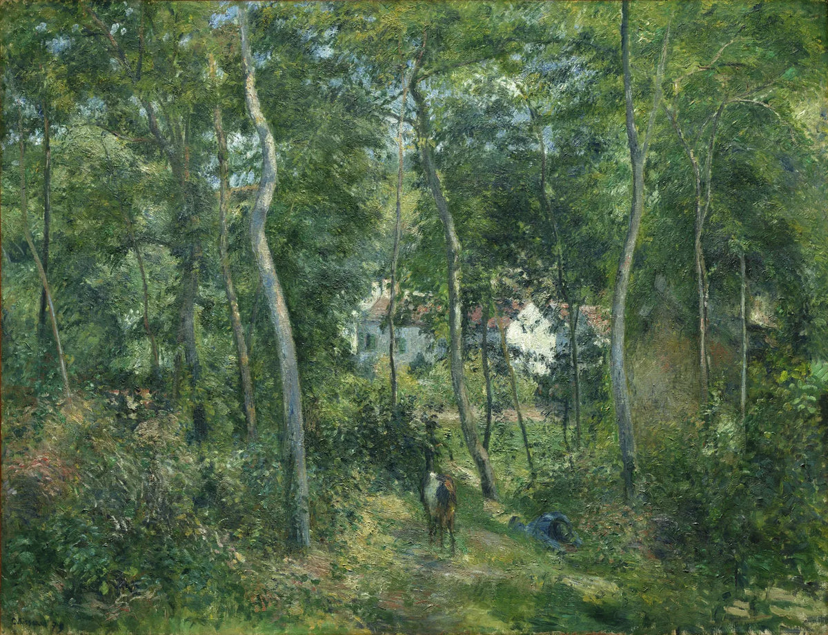 Spring No. 12