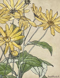 Spring No. 14