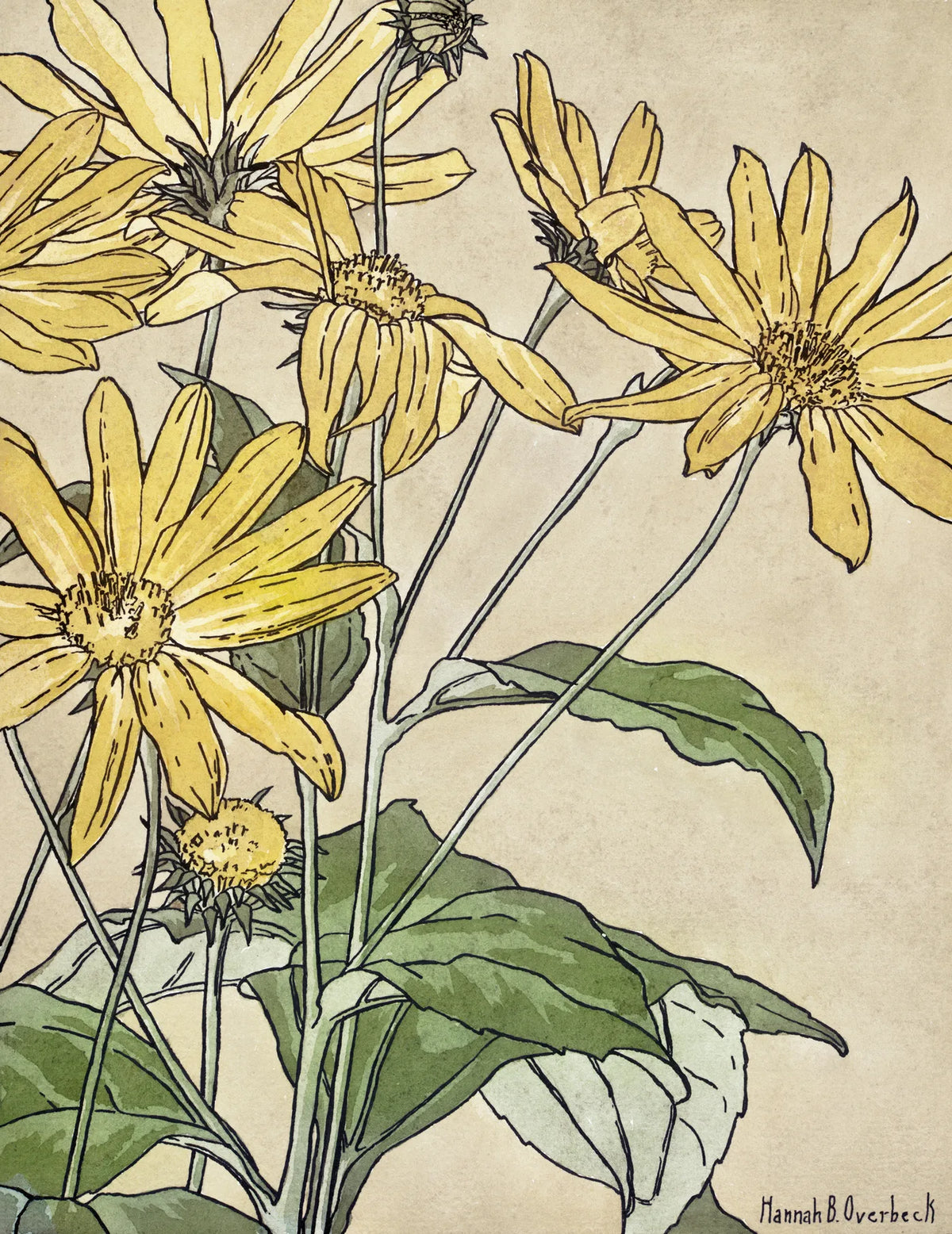 Spring No. 14