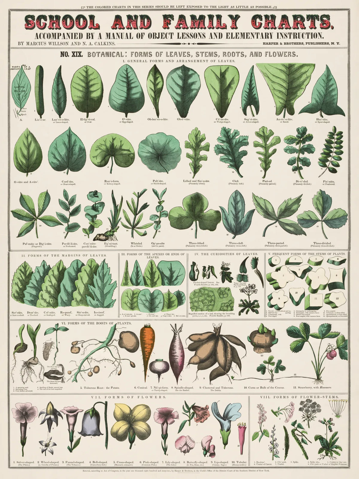 Spring No. 16