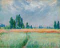 Spring No. 17
