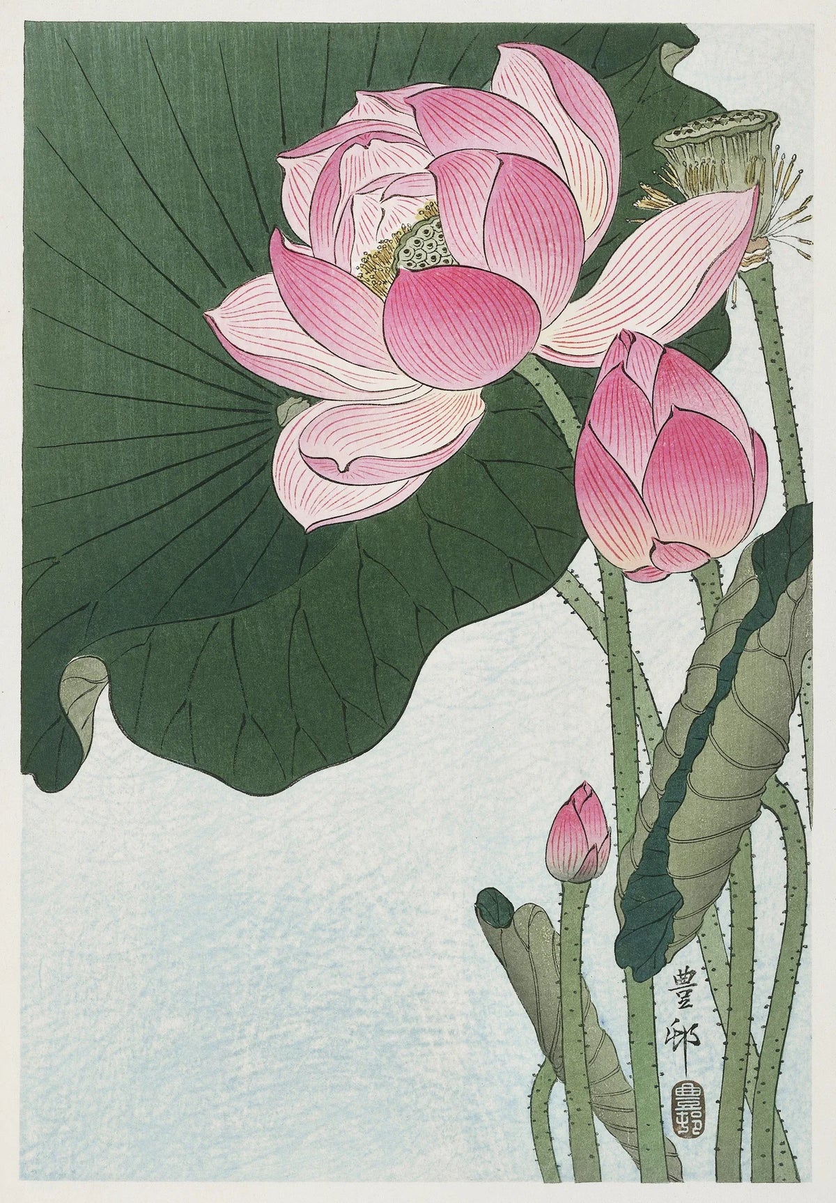 Spring No. 31