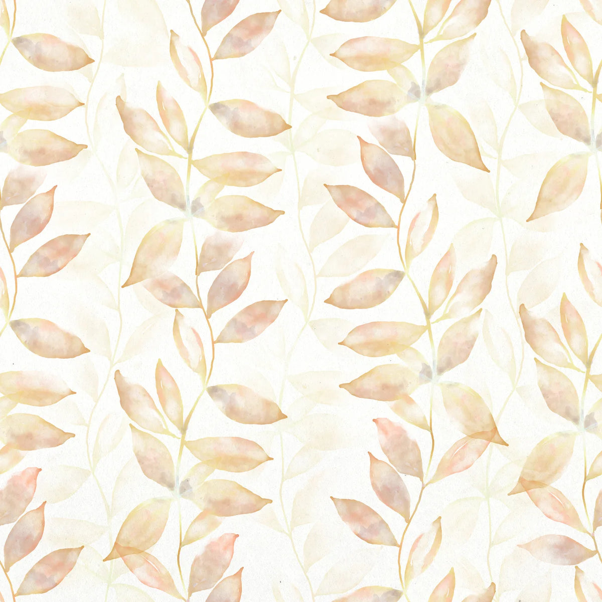 Square Aesthetic No. 146