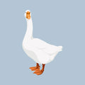 Square Aesthetic No. 199