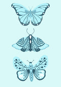 Trendy No. 138
