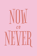 Trendy No. 510