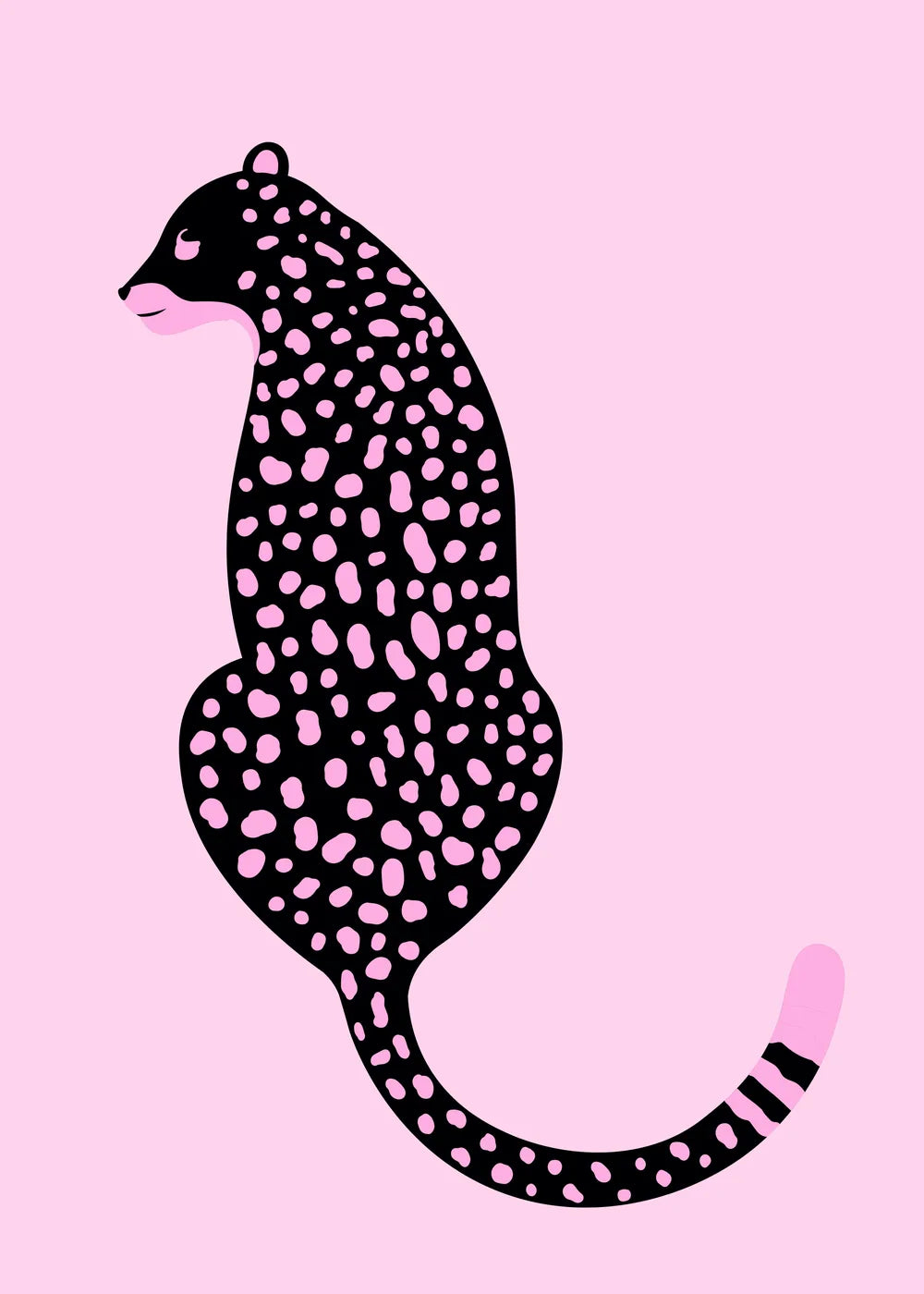 Trendy No. 780