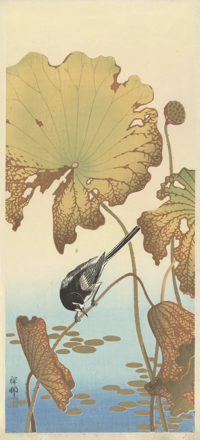 Vintage Culture No. 379
